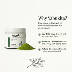Bamboo chasen whisk with Isshiki Matcha in a traditional bowl for authentic tea.
