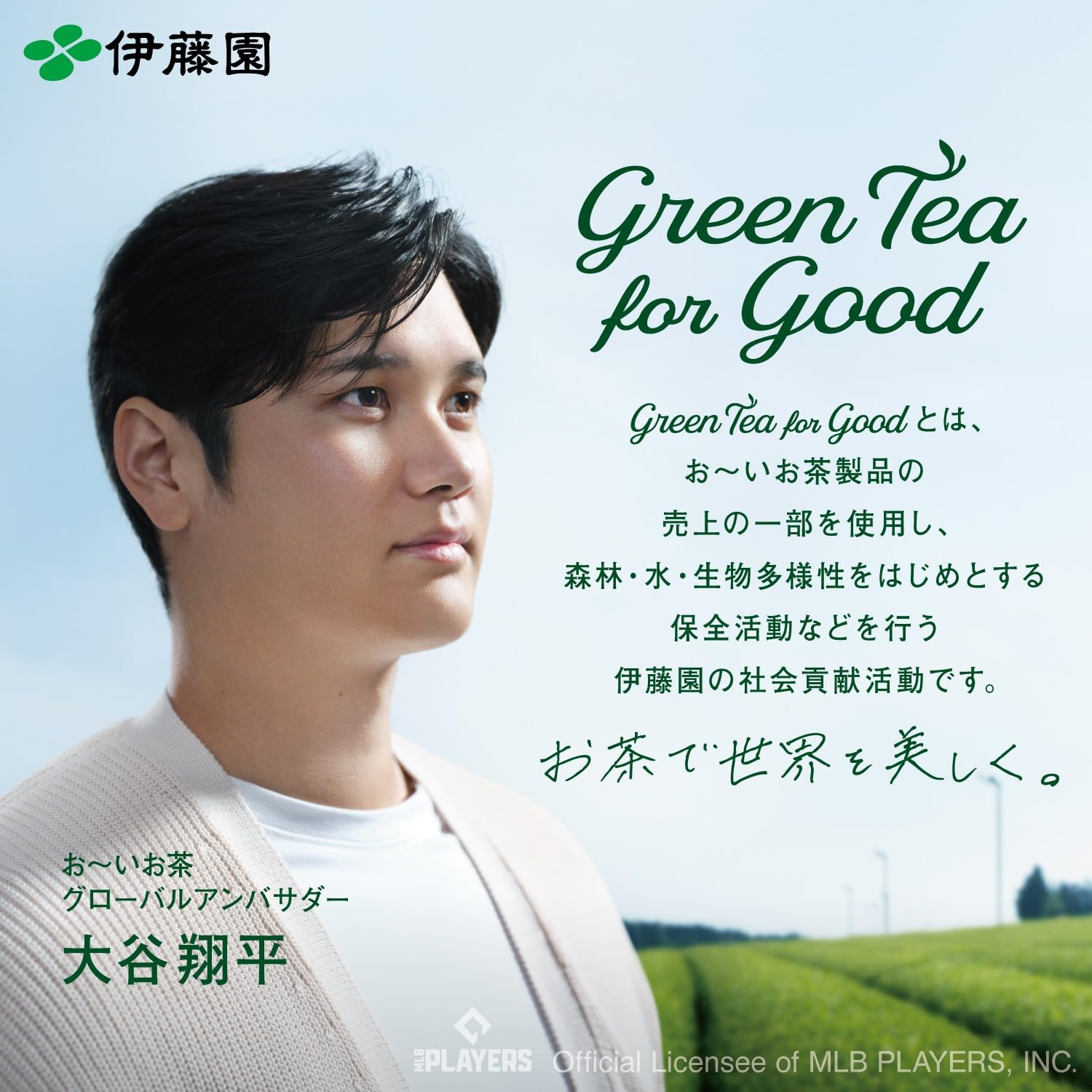 Itoen Genmaicha tea bag close-up shows 2-3g sachets for precise strength.