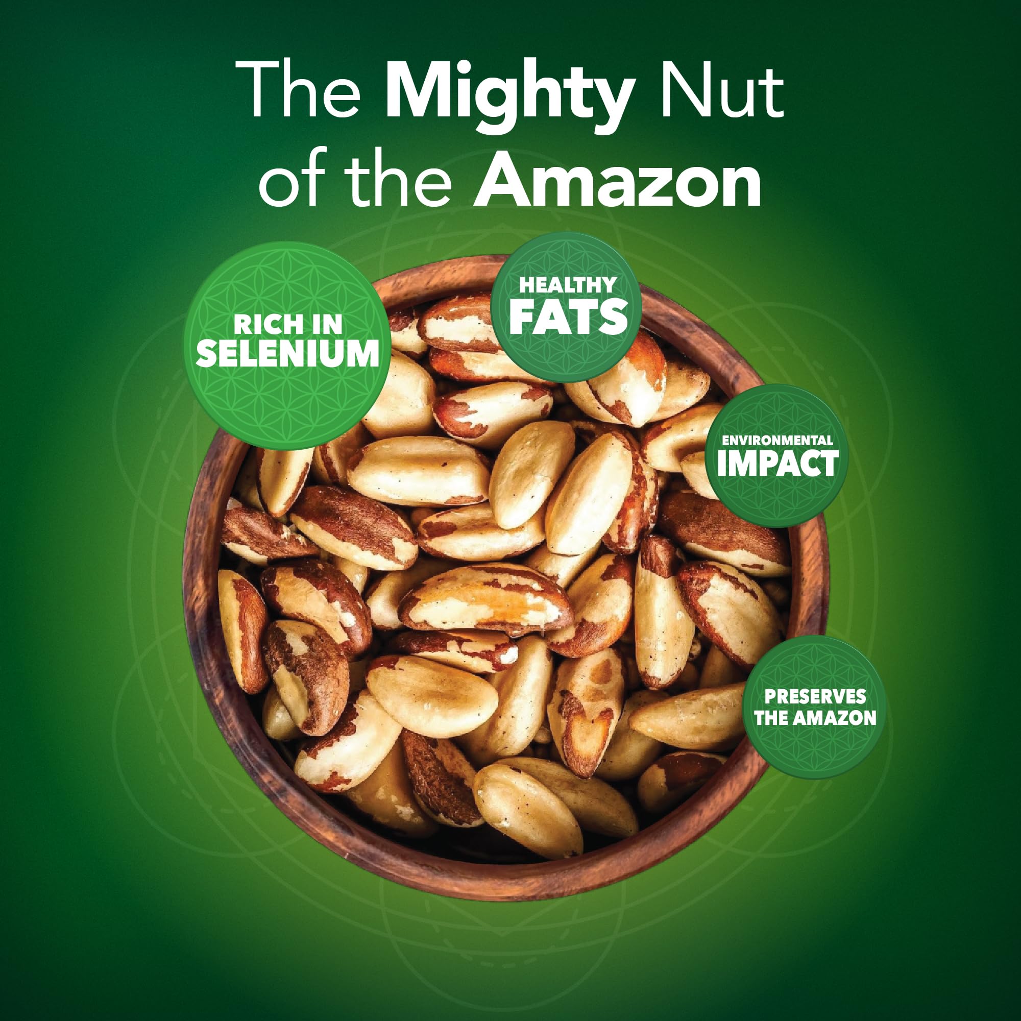 It's Good Energy Brazil Wild Nuts Amazon-harvest scene—sustainability in action.