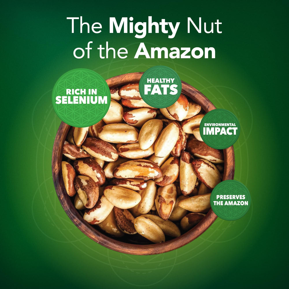 It's Good Energy Brazil Wild Nuts Amazon-harvest scene—sustainability in action.