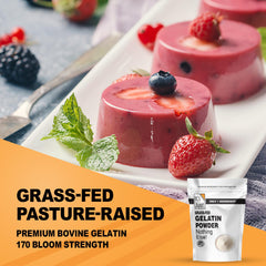 It's Just gelatin powder desserts prep demonstrates versatile thickening for puddings and mousses.