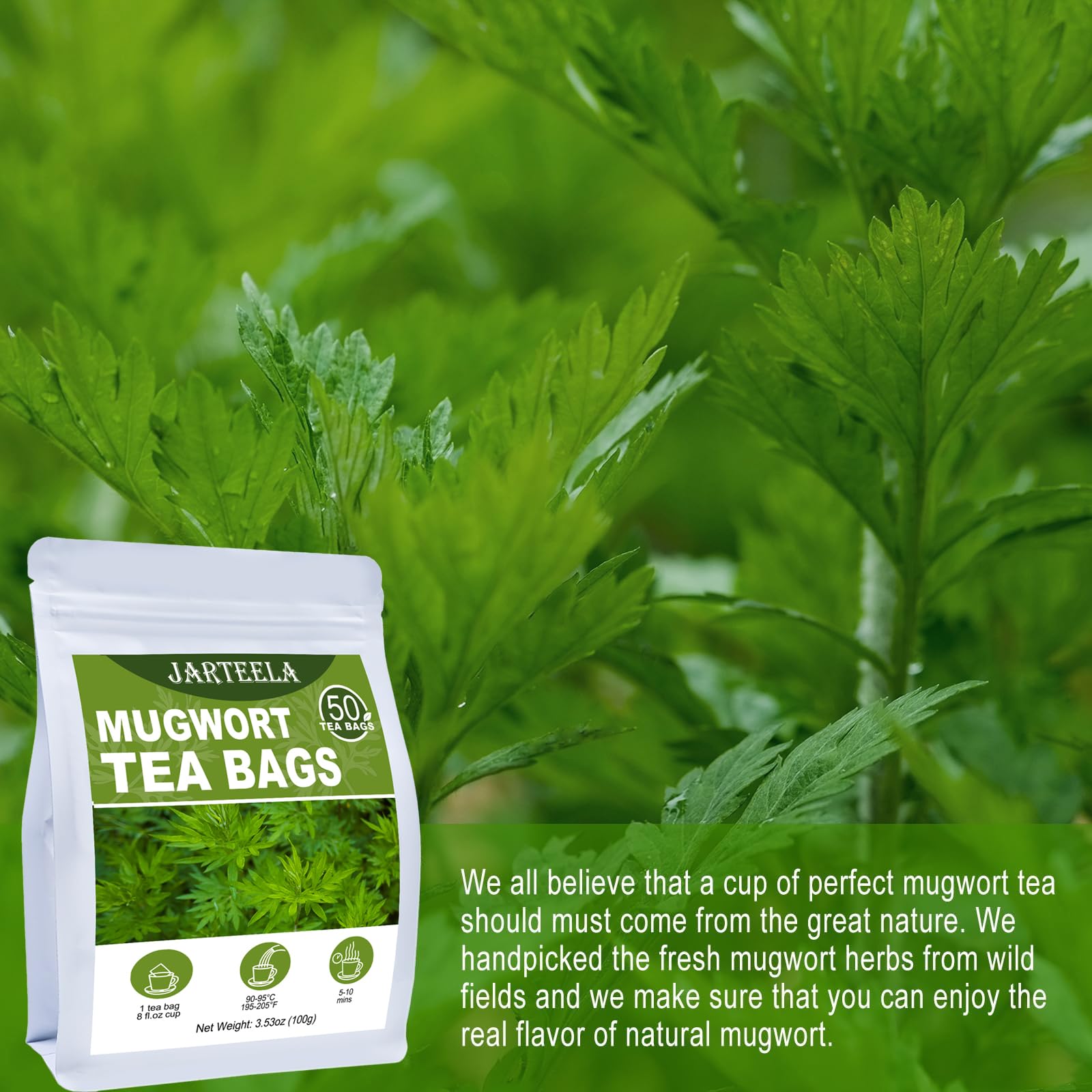 Aromas of mugwort tea fill the kitchen, inviting a mindful pause.