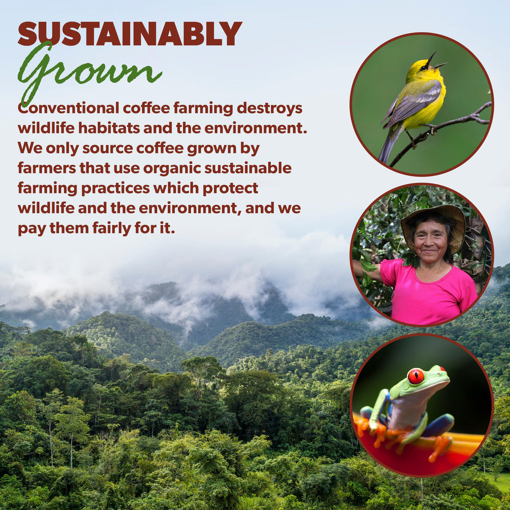 Java Planet No pesticides and mold-tested coffee for purity