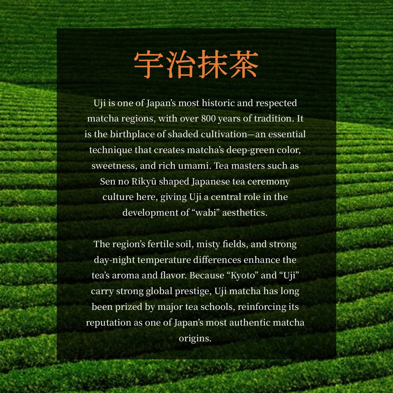 JEAU CHAU product details label with origin and weight.