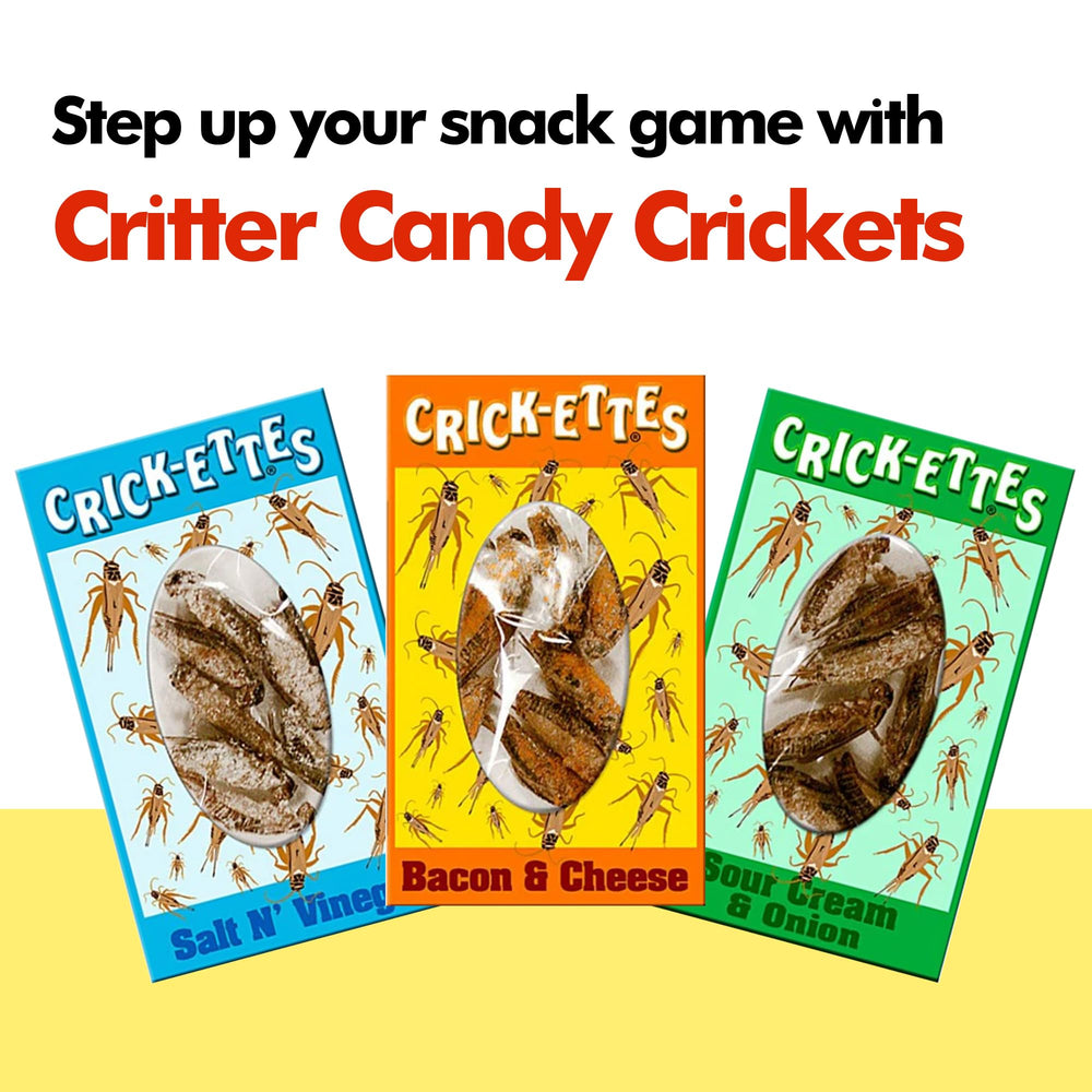 Jerky-n-Spice Crick-ettes Bacon & Cheese 3-pack savory cricket bites.