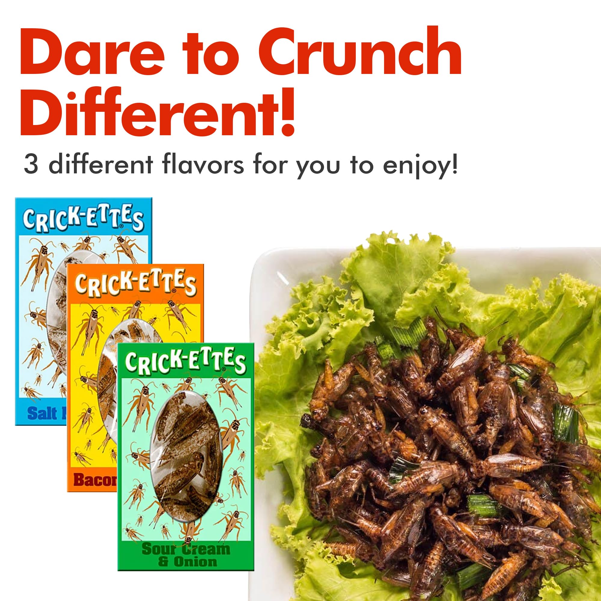 Jerky-n-Spice Crick-ettes Sour Cream & Onion 3-pack crunchy crickets.