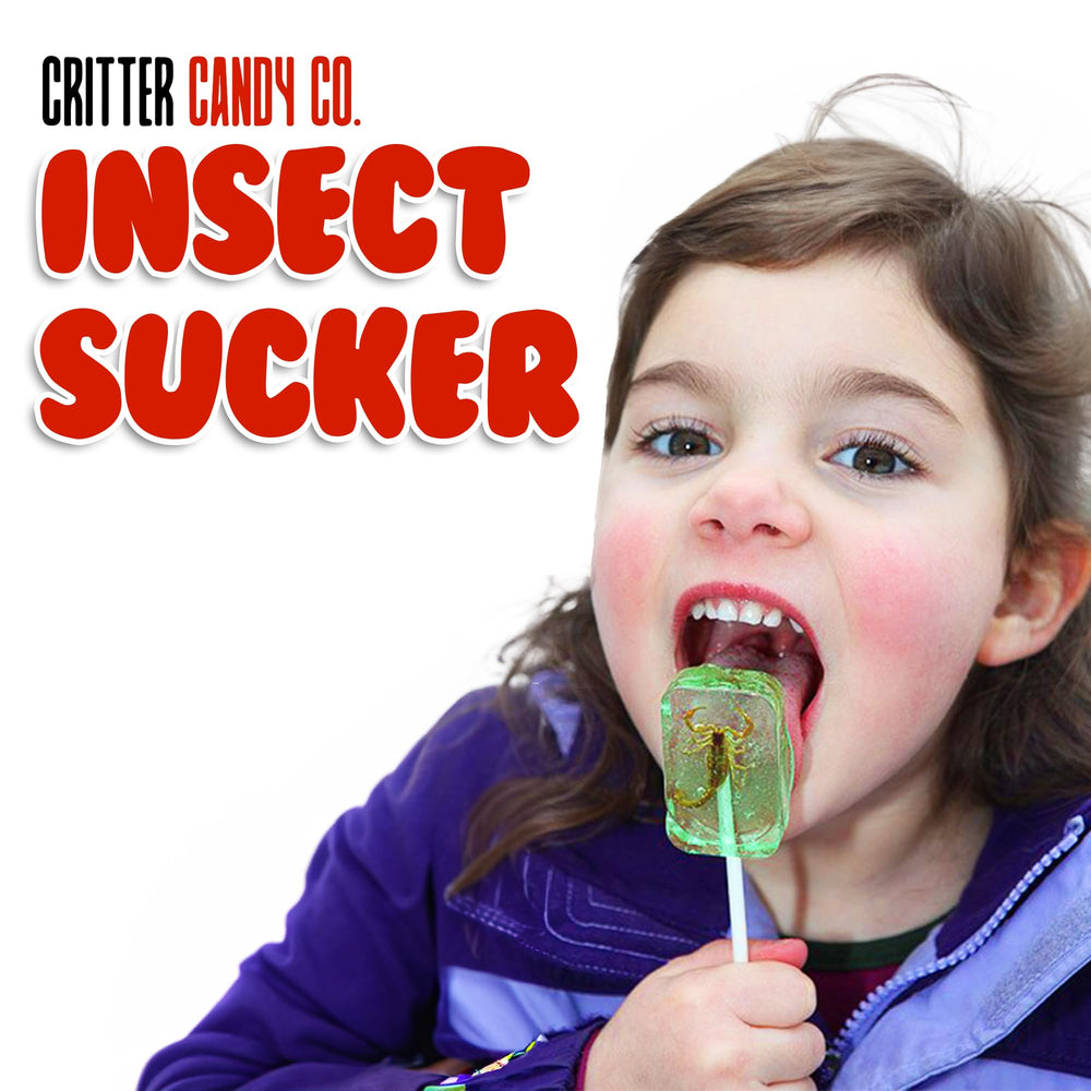 Close-up of HotLix insect lollipops, individually wrapped for freshness