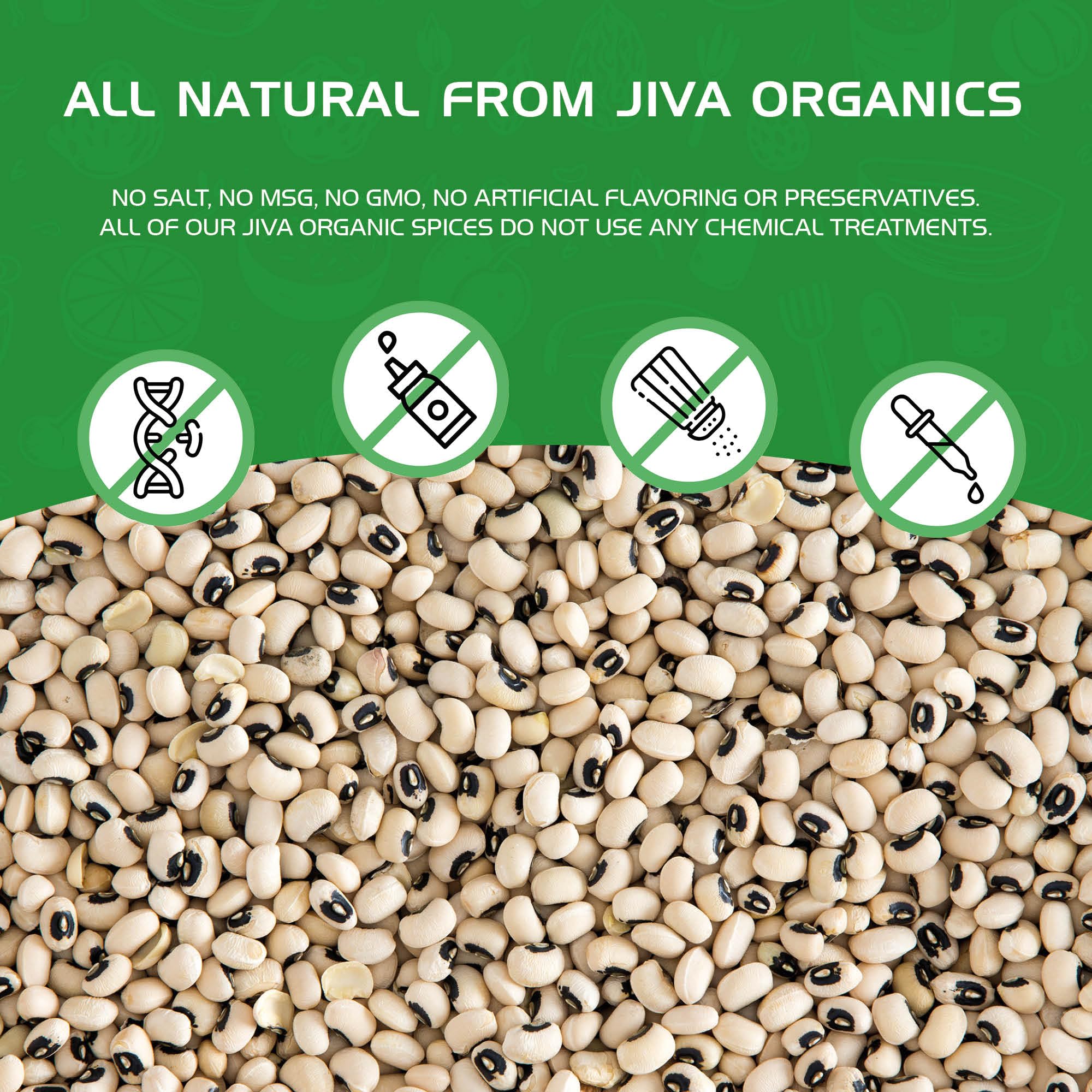 Jiva Organics supports Akshaya Patra meals aiding students.