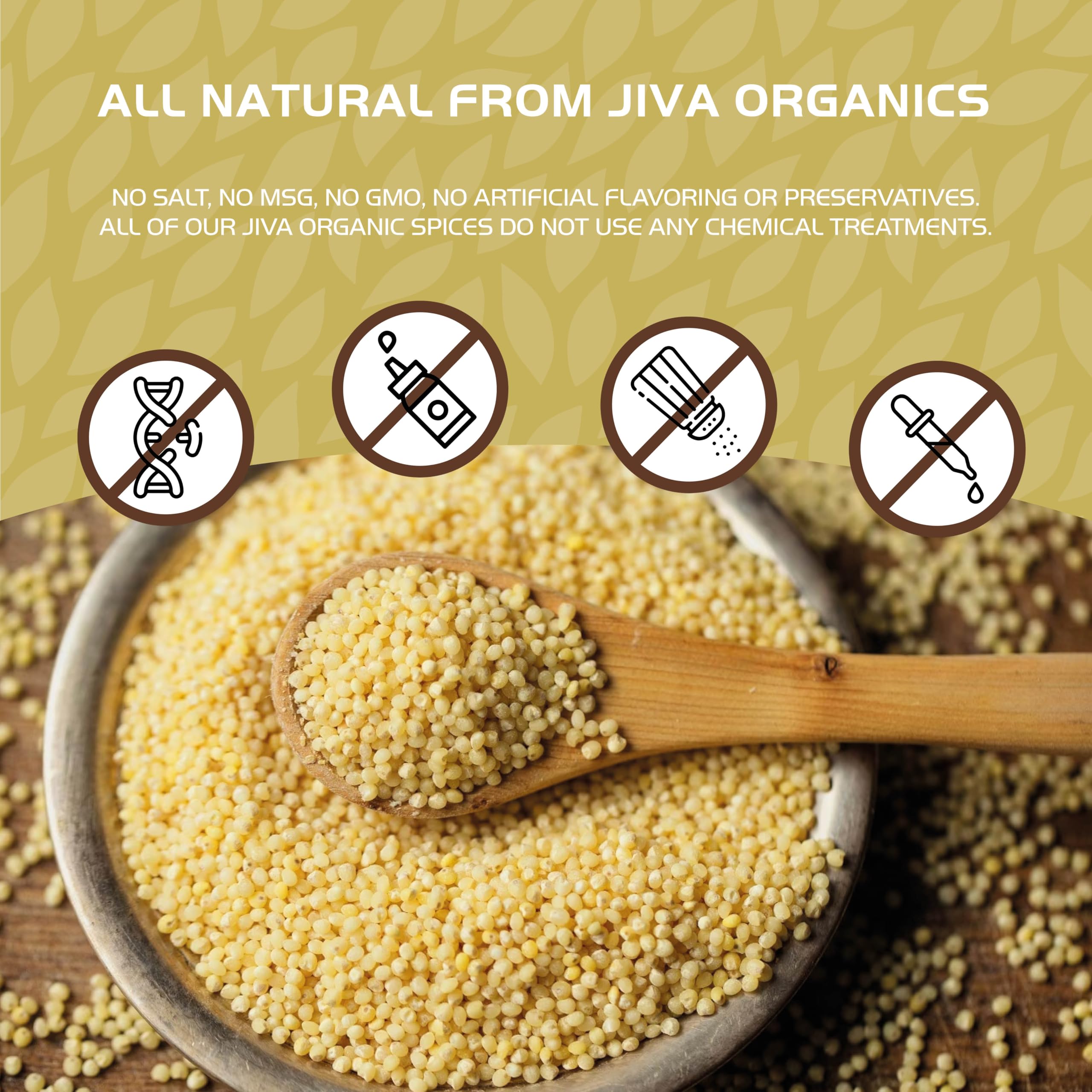 Idli batter inspired millet option from Jiva Organics, soft and airy