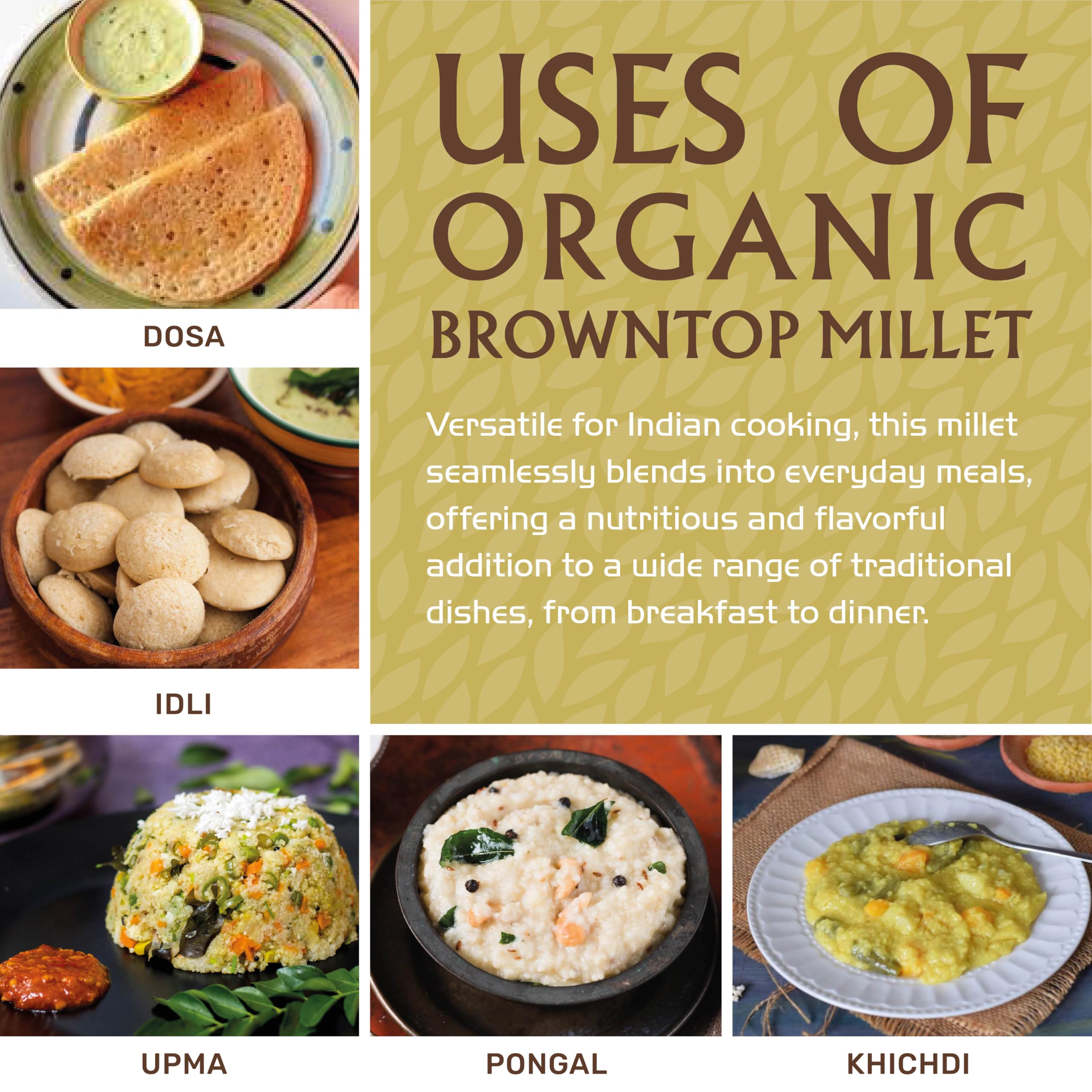 Jiva Organics Browntop Millet bowl ready, perfect for dosa or idli batter