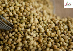Coriander seeds from India by Jiva Organics harvested at peak for robust aroma