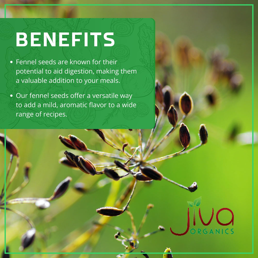 Jiva Organics fennel seeds as a versatile spice for curries and soups.