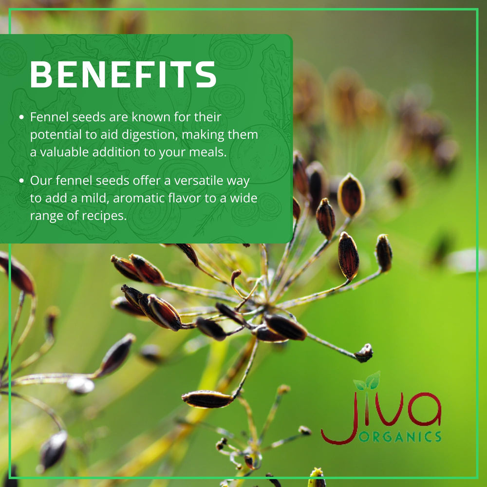 Jiva Organics fennel seeds from India with natural flavor