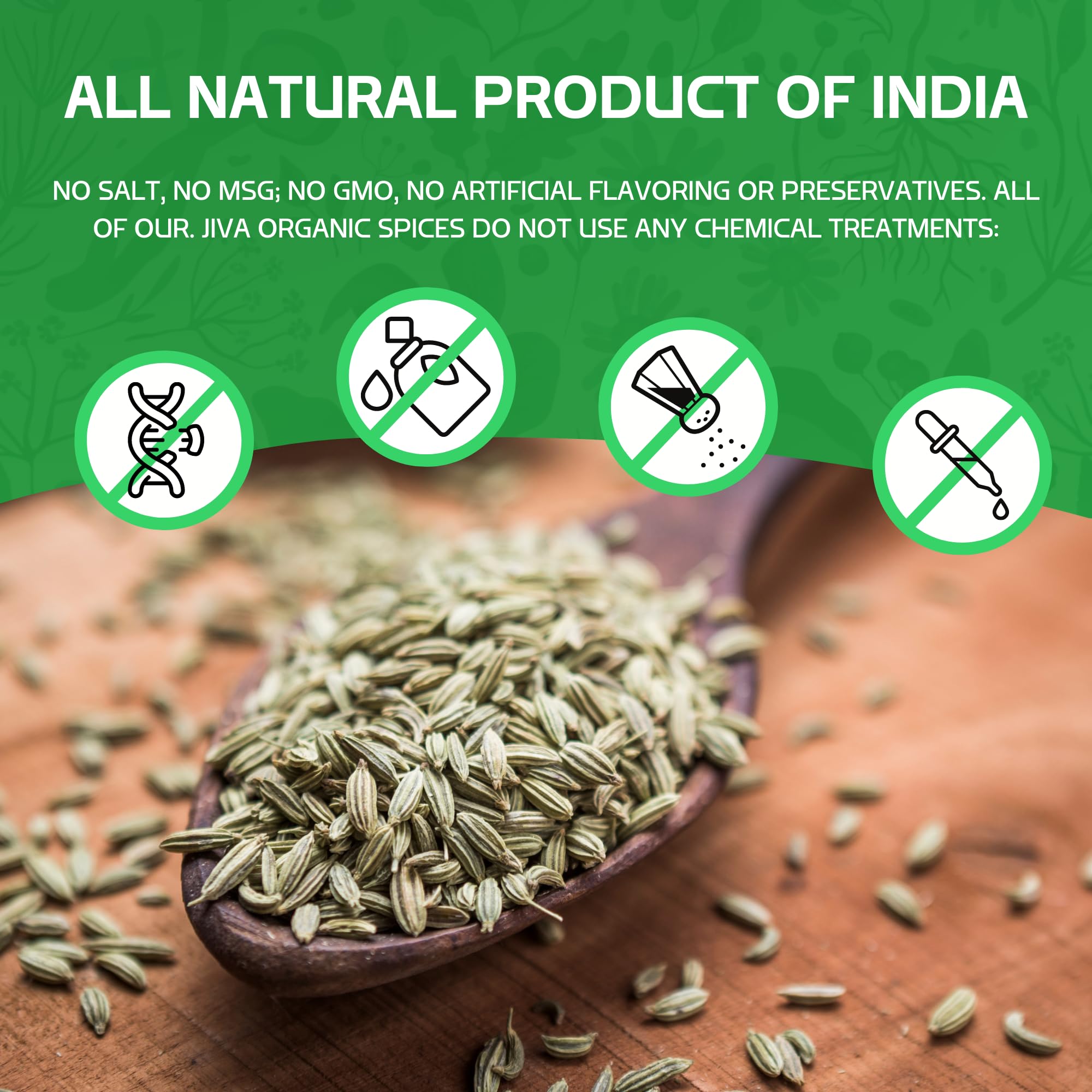 Jiva Organics fennel seeds on a fresh salad plate with licorice zest.