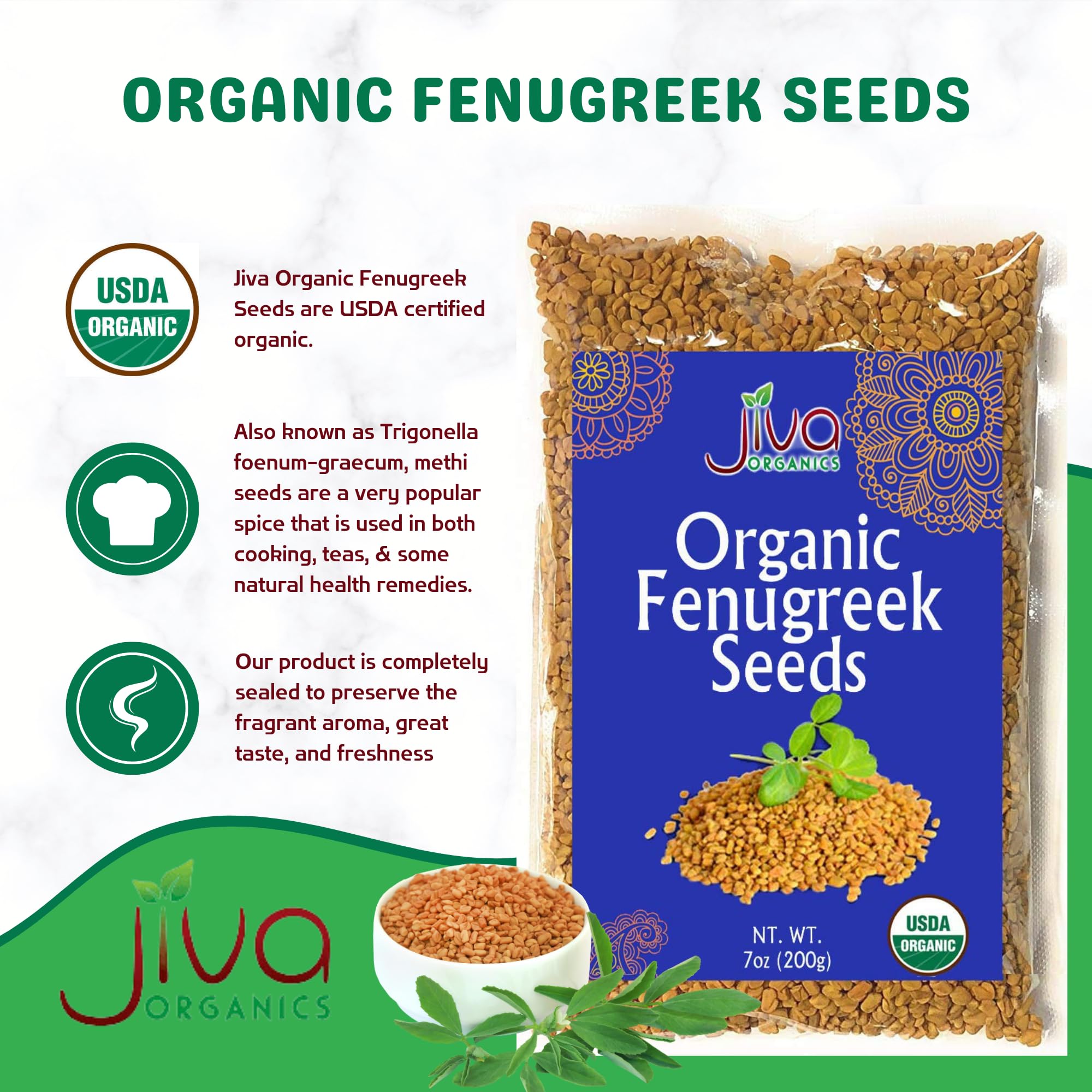 Sprouting fenugreek seeds in jar for fresh salads