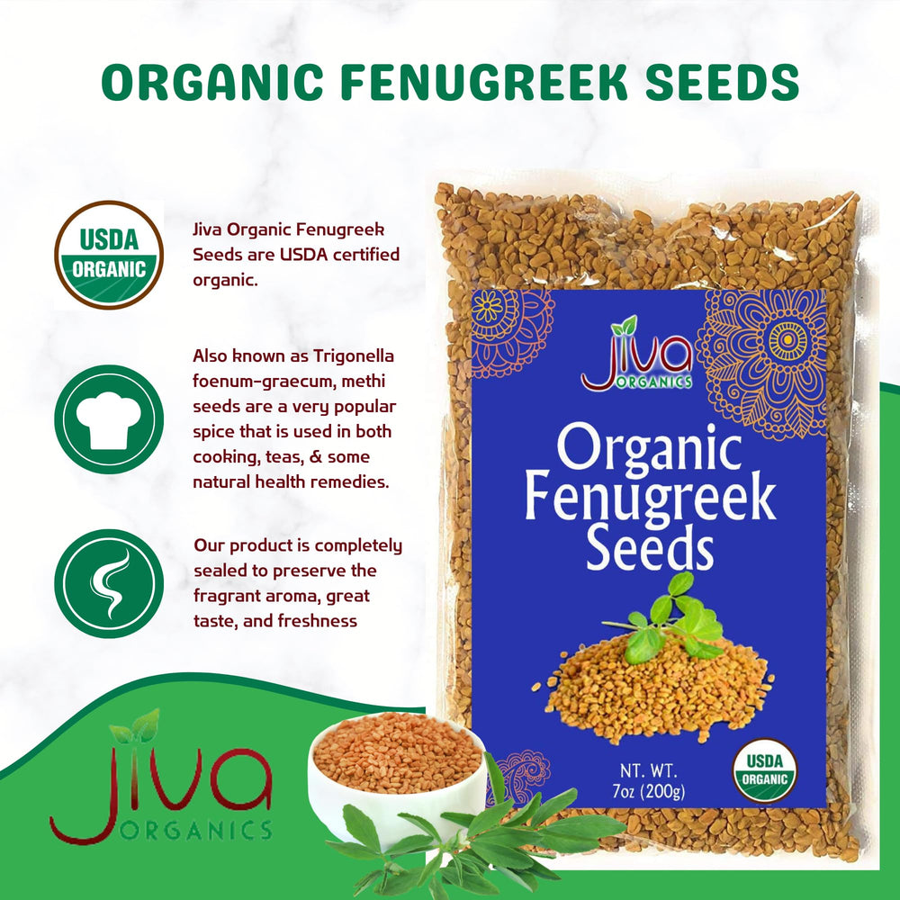 Sprouting fenugreek seeds in jar for fresh salads