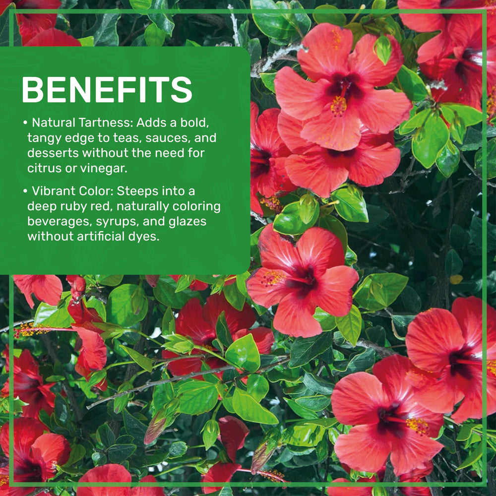 Jiva Organics hibiscus flowers sourced from India.