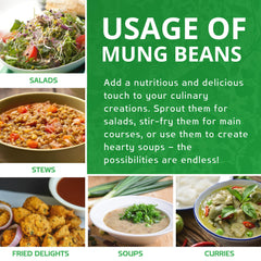 Jiva Organics green mung beans for dal and bowls.