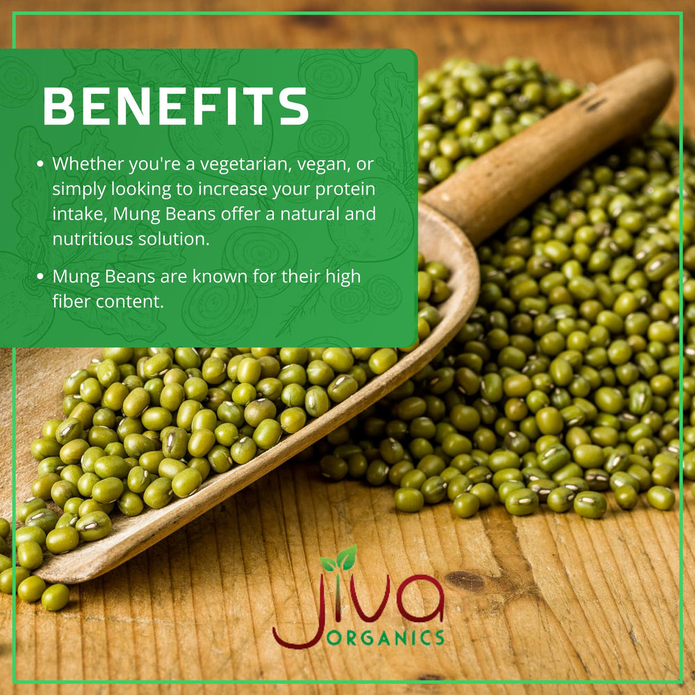 Jiva Organics mung beans in a fresh green salad for protein