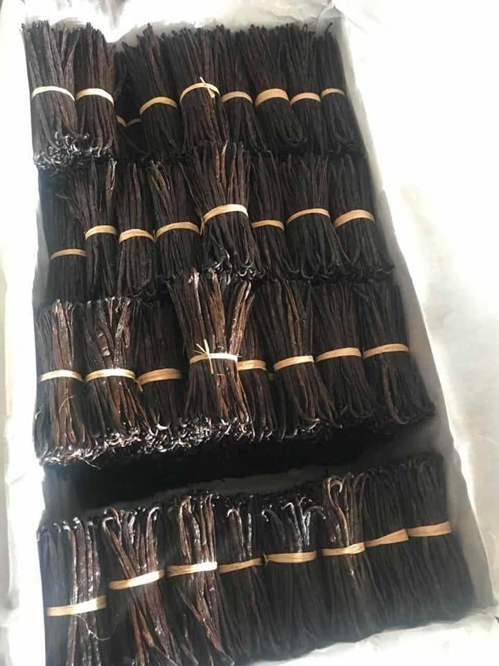 JL Gourmet Imports Madagascar vanilla beans, ideal for brewing infusions and flavoring.