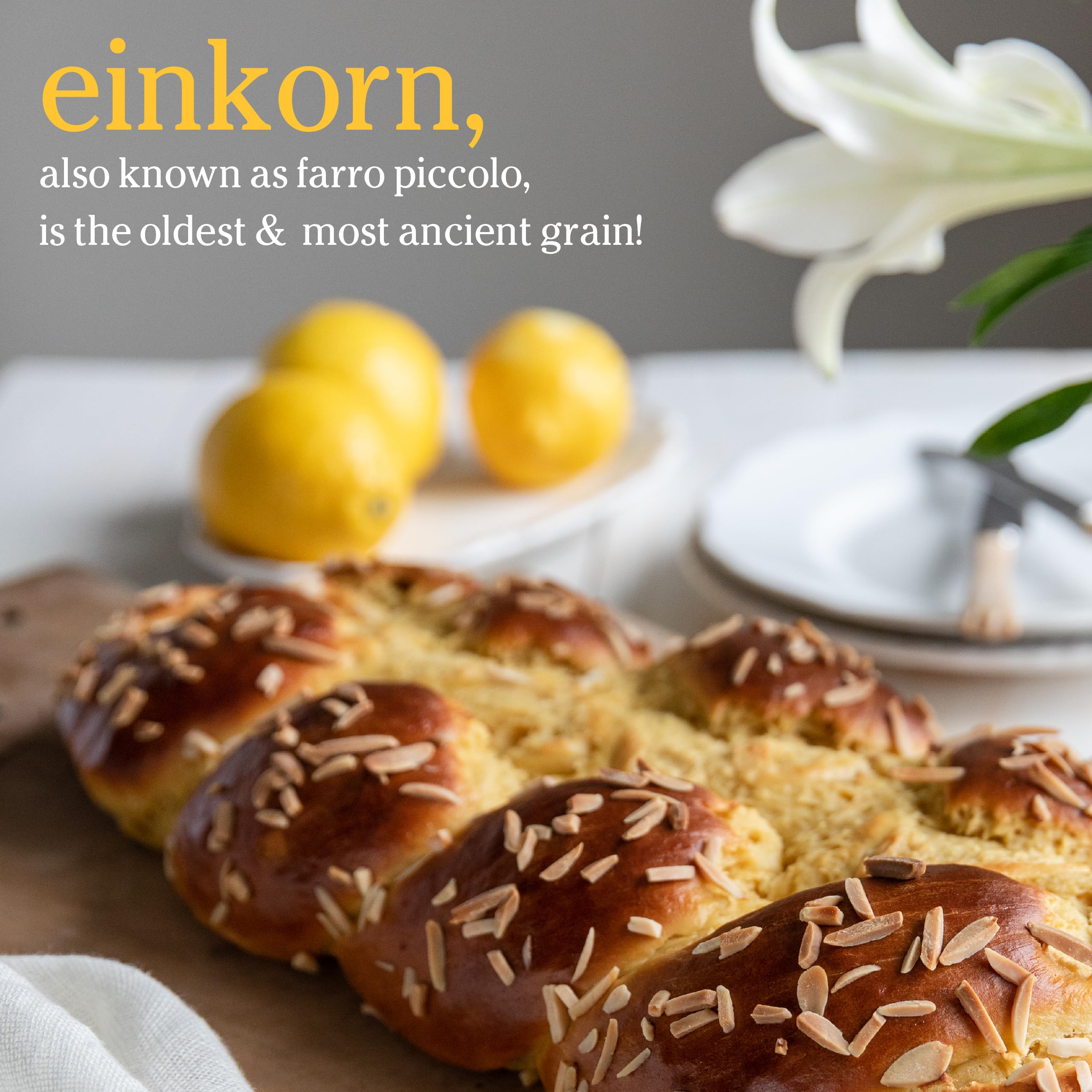 Jovial Einkorn berries ground into flour for baking.