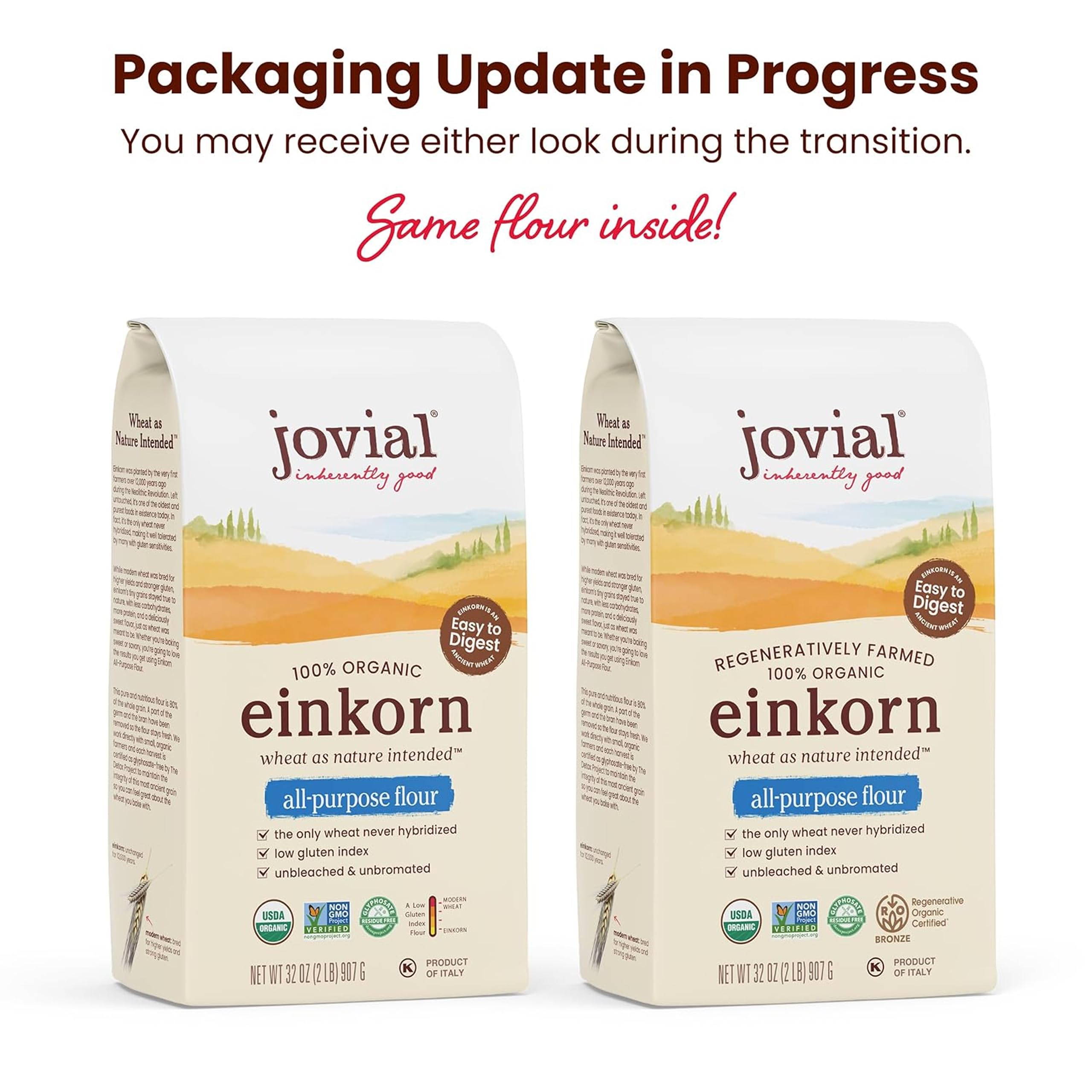 Jovial Einkorn Flour pizza dough ready for rustic, flavorful crust