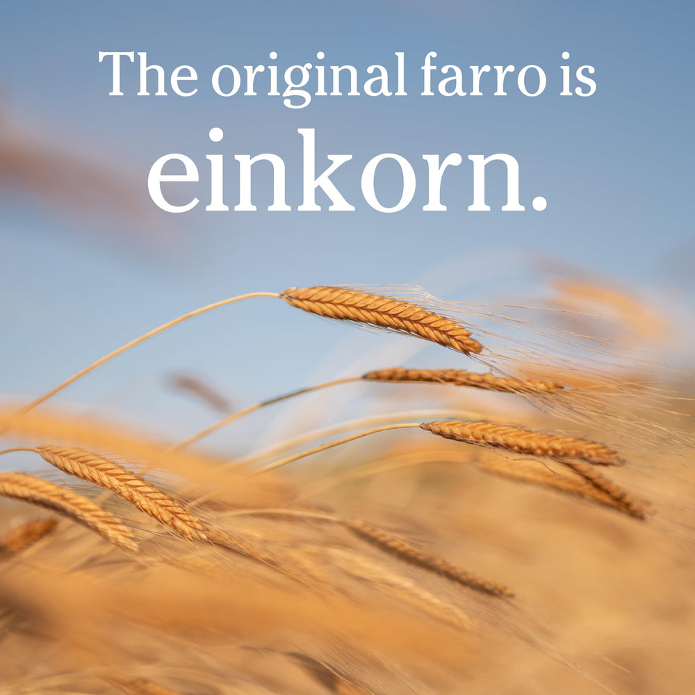 Jovial Einkorn berries measured for easy, portion-controlled cooking.