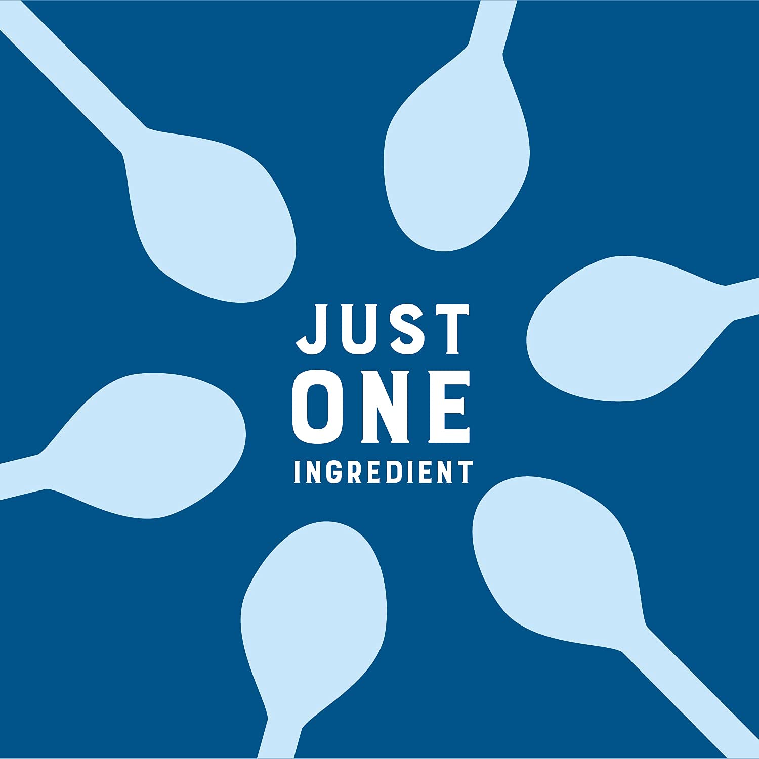 Judee's Gluten Free Powdered Milk nut-free label and safe dairy option