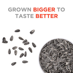 JUMBO SUNFLOWER SEEDS Ranch – serving bowl with seeds for a quick on-the-go snack.