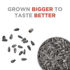 JUMBO SUNFLOWER SEEDS serving bowl, easy on-the-go snacking.