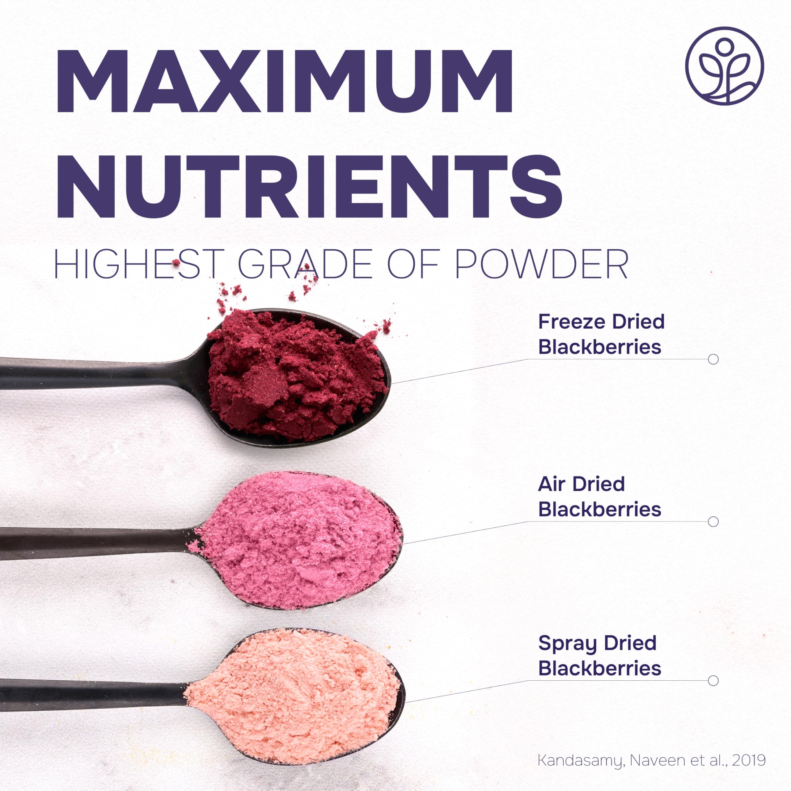 Dessert topping with Jungle Powders blackberry powder on yogurt.
