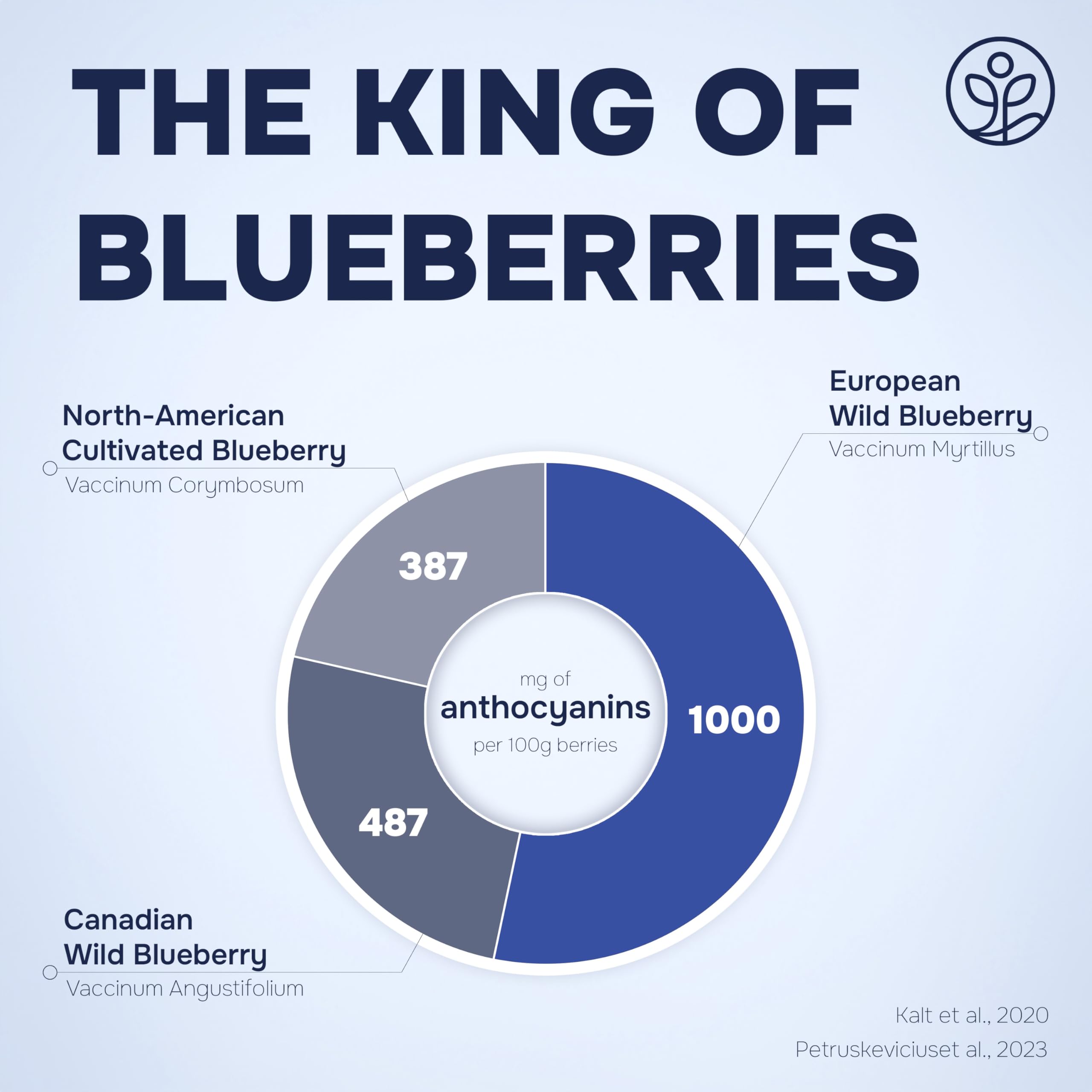 Jungle Powders european wild blueberries origin visual emphasizes premium source.