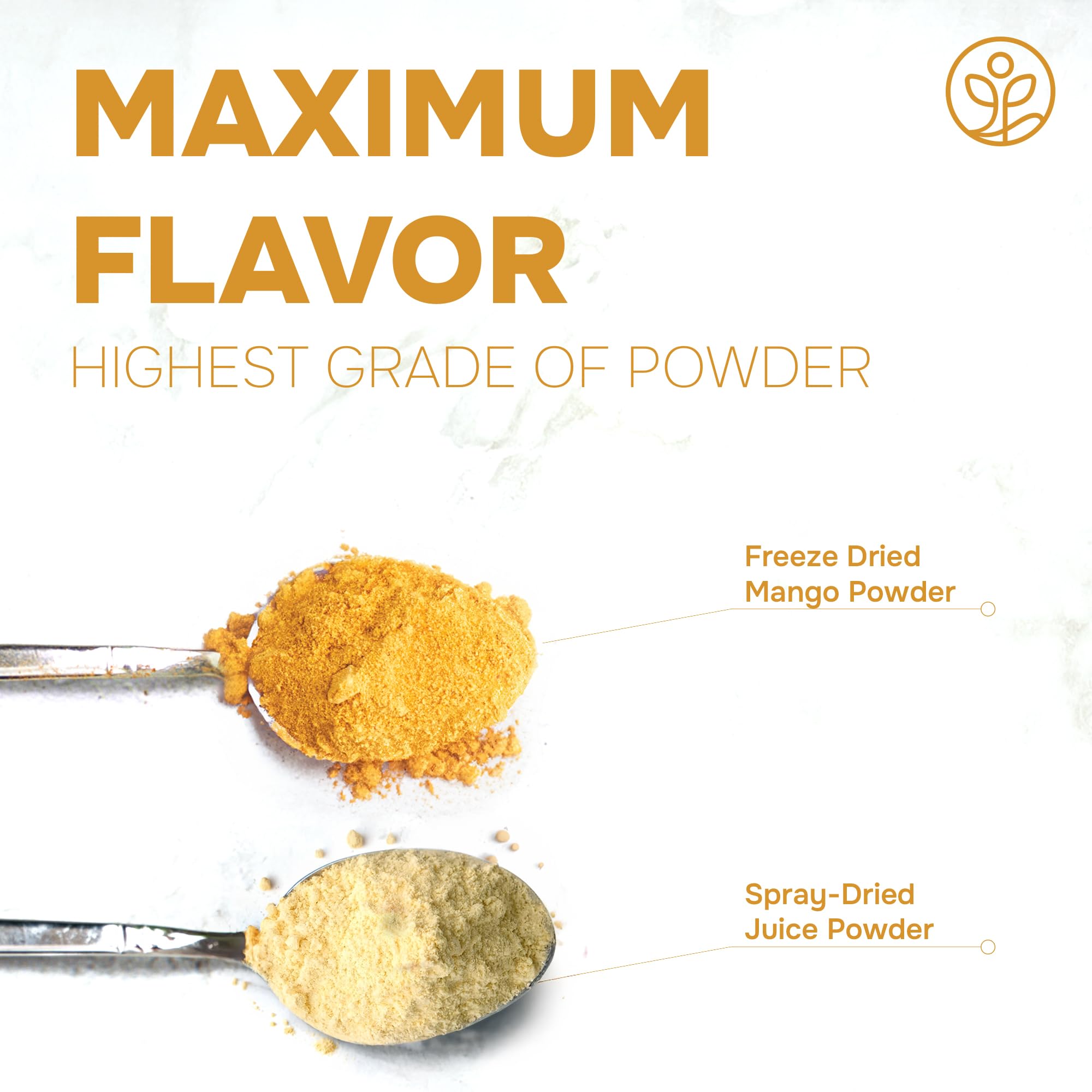 Jungle Powders mango powder poured into a blender for vibrant smoothie color