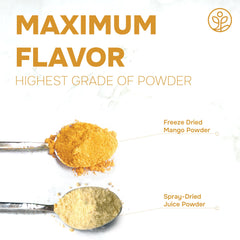 Jungle Powders mango powder poured into a blender for vibrant smoothie color