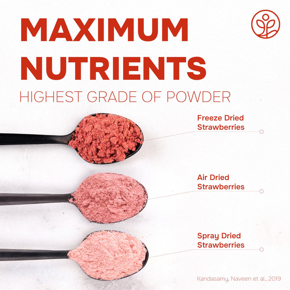 Jungle Powders Strawberry Powder jar; long shelf-stable fruit flavor.