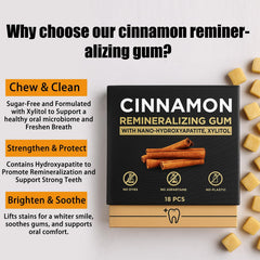 JXSVR Cinnamon gum with natural cinnamon oil for warm flavor