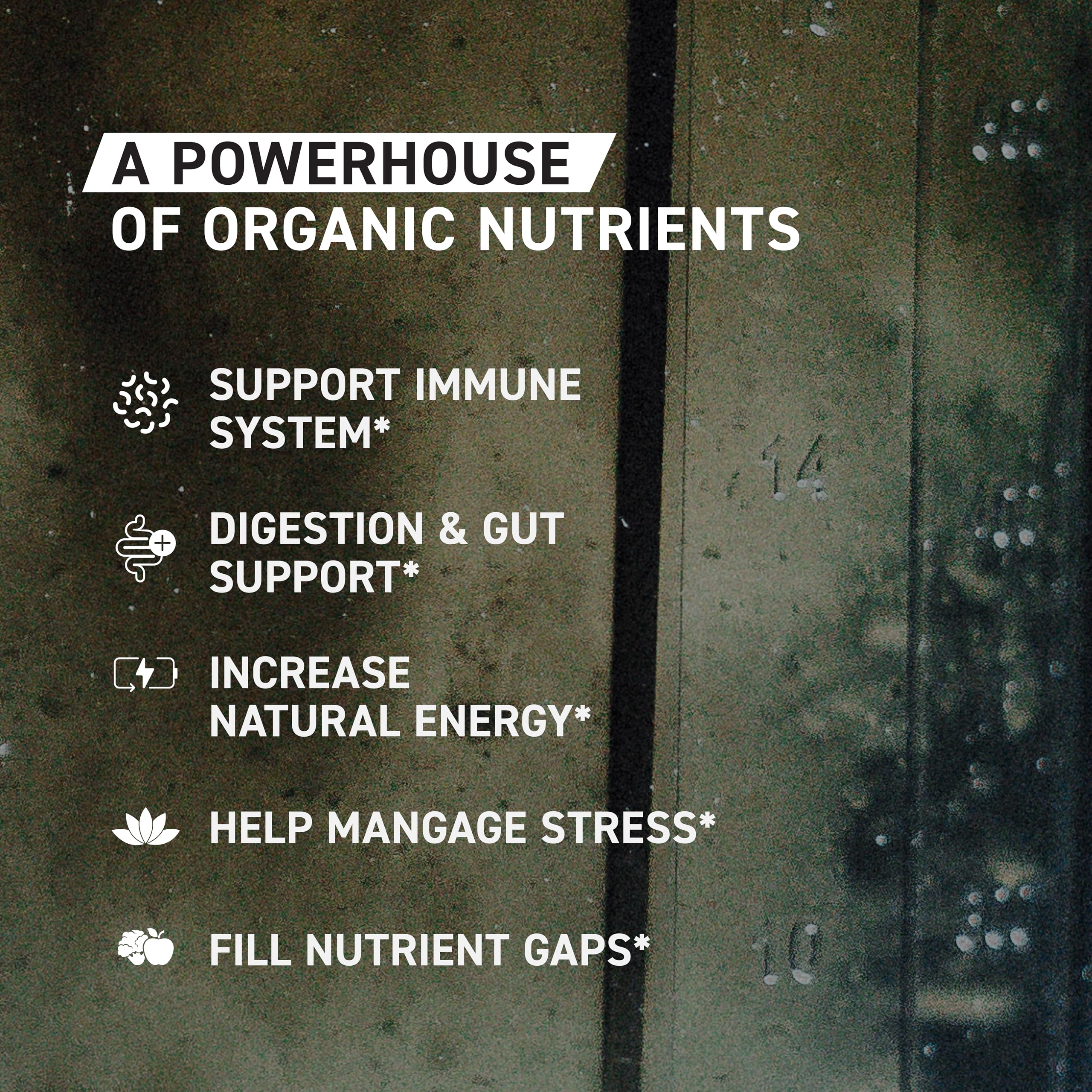 Kaged Organic Greens Apple Cinnamon ingredients close-up highlighting organic fruits and vegetables.
