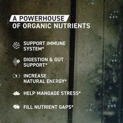 Kaged Organic Greens Apple Cinnamon ingredients close-up highlighting organic fruits and vegetables.