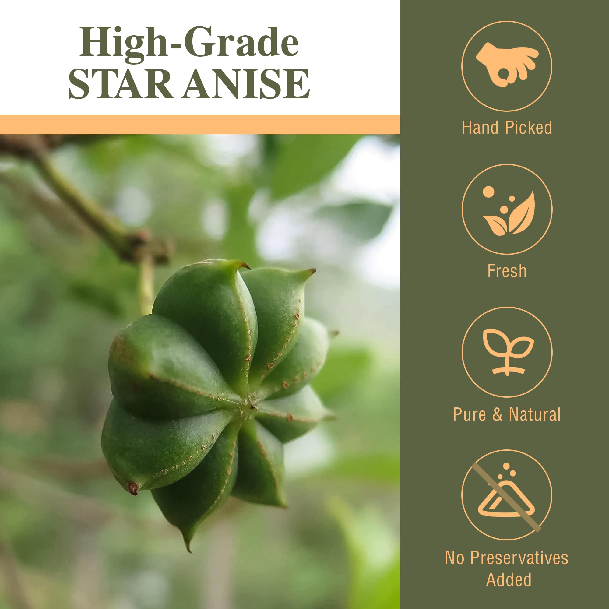 Kah's Journey star anise sealed bulk bag preserving freshness and aroma