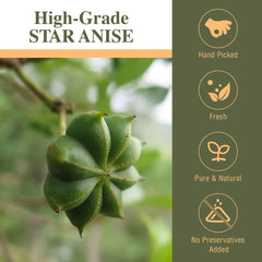Kah's Journey star anise sealed bulk bag preserving freshness and aroma