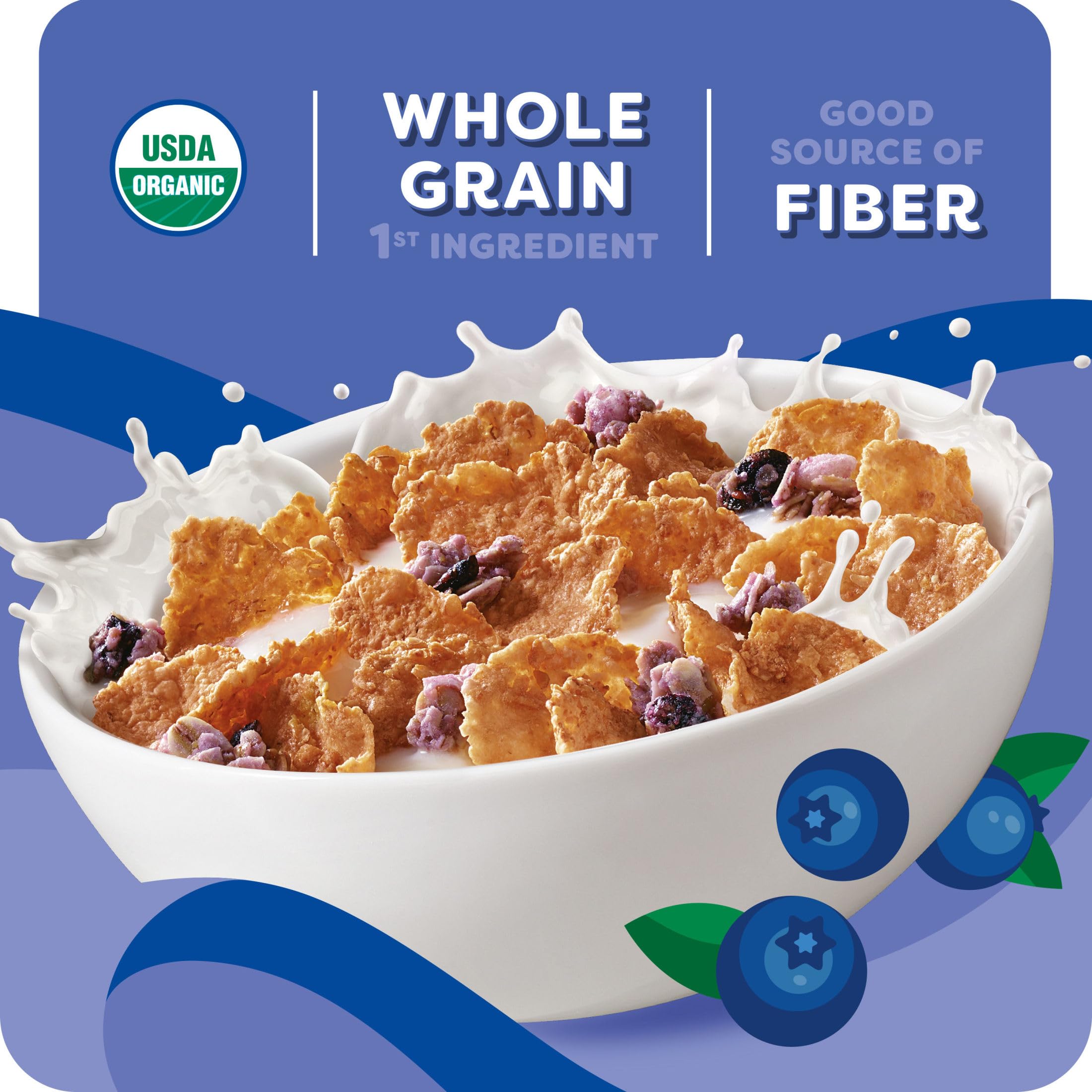 On-the-go Kashi Blueberry Clusters snack tucked in a backpack