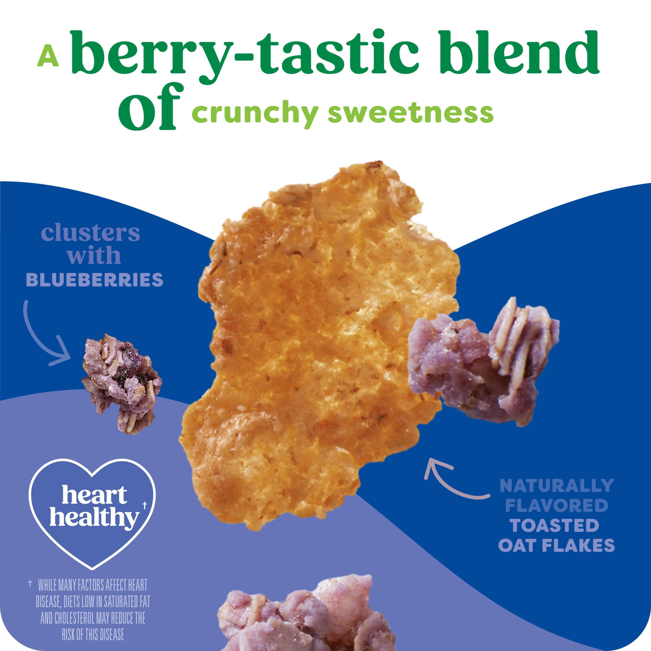 Spoonful of Kashi Blueberry Clusters highlighting berry flavor and crunch