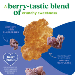 Spoonful of Kashi Blueberry Clusters highlighting berry flavor and crunch