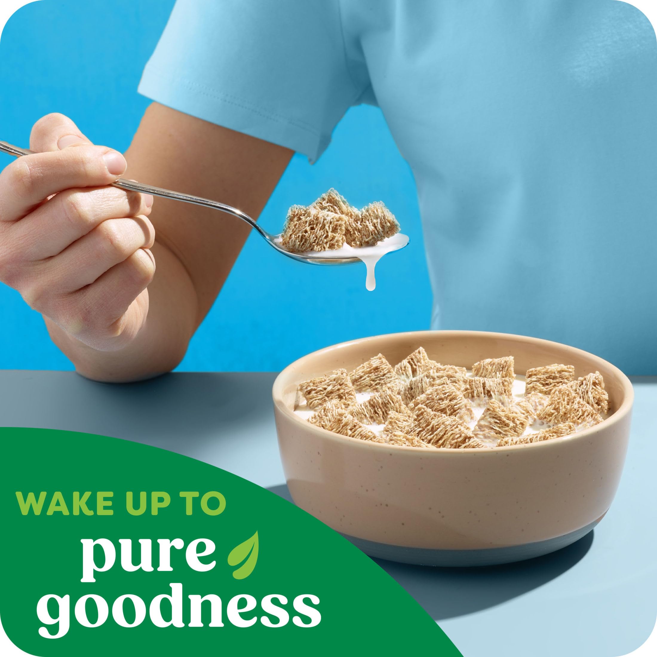 Close-up of whole grains in Kashi Island Vanilla cereal.