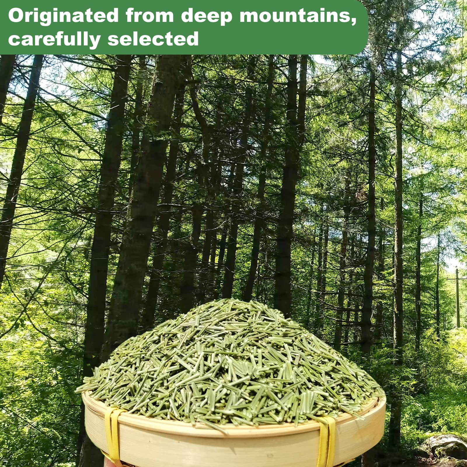 KASVAN Mountain-sourced pine needles, organic and vitamin-rich