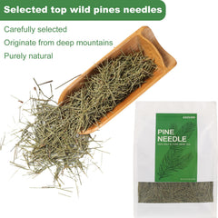 KASVAN Pine Needle Tea bag close-up, ready to brew for a soothing cup