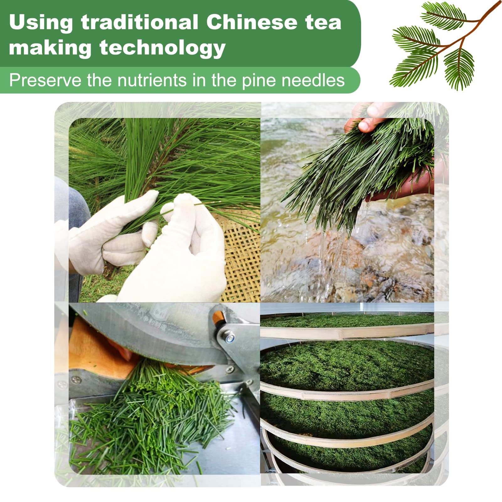 KASVAN Tea brewing in hot water, easy preparation