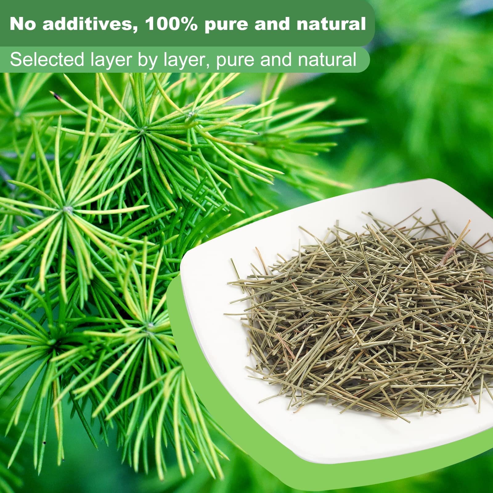 KASVAN White pine needle tea cup steeping, refreshing aroma and flavor