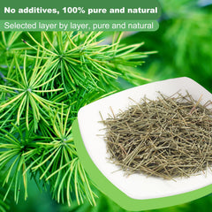 KASVAN White pine needle tea cup steeping, refreshing aroma and flavor