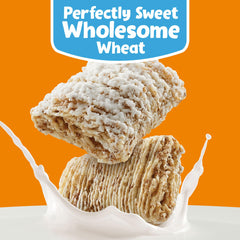 Kellogg's Frosted Mini-Wheats crunchy wheat biscuits close-up shows crisp texture.